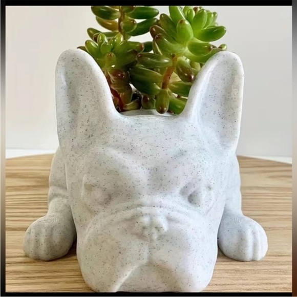 Adorable Mini Bulldog Succulent Planter - Picture 5 of 5